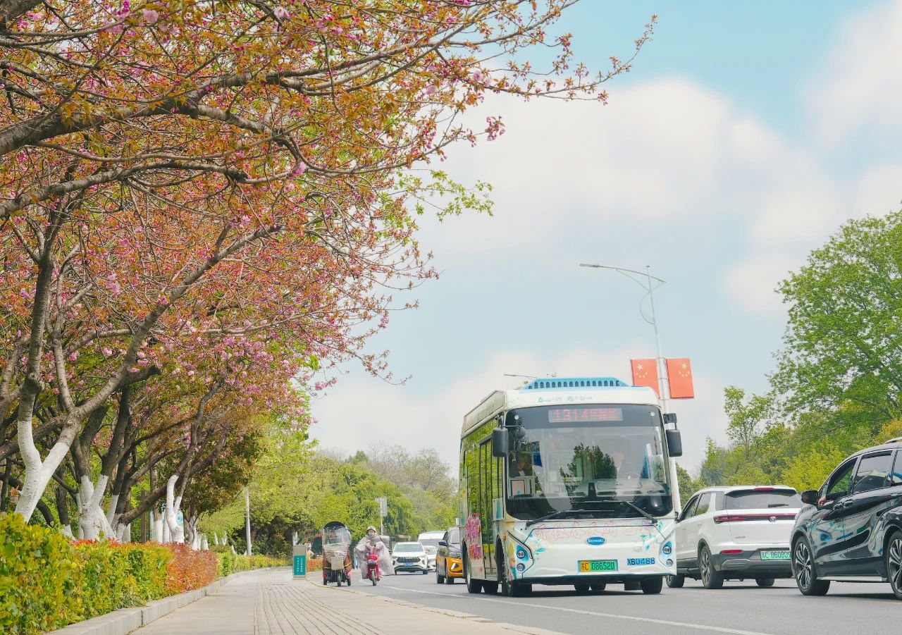 清明踏春行，徐州公交精心護(hù)航市民出行